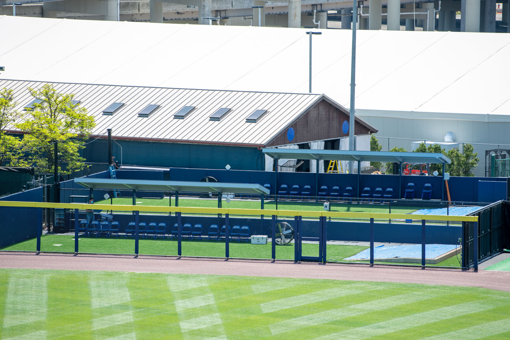 View of bullpens